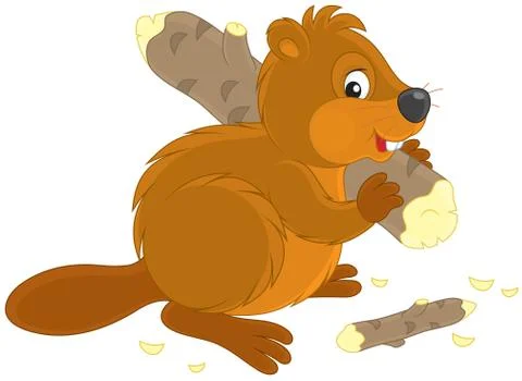 Beaver Stock Illustration