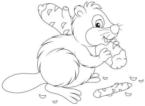 Beaver Stock Illustration