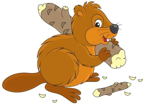 Beaver Stock Illustration
