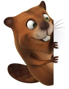 Beaver Ilustración de archivo