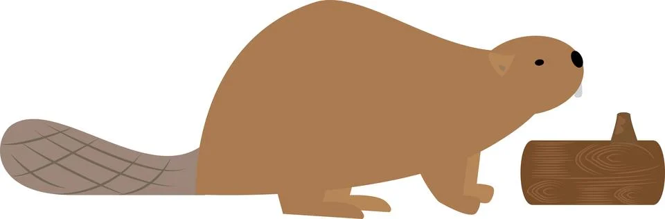 Beaver Stock Illustration
