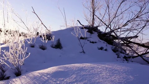 Beaver lodge in winter Stock Footage 74101011