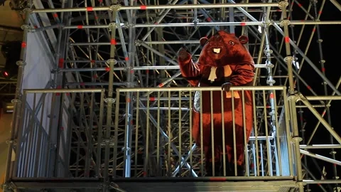 Beaver mascot claps his hands on the stage structures Video stock 240750183
