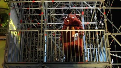 Beaver mascot moving go, go, go on the stage structures Stock Footage 240749909