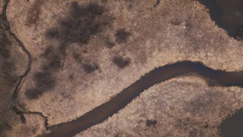 Beaver runs and river bottom backwater aerial view Stock Footage 306902288