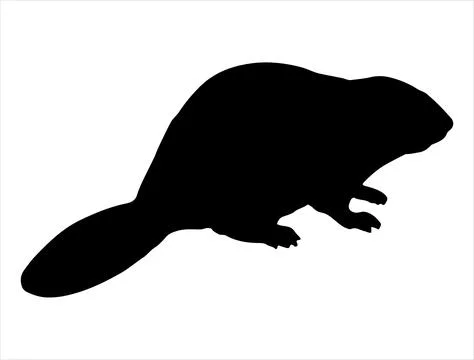 Beaver silhouette vector art Stock Illustration
