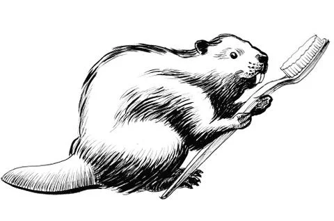Beaver with a toothbrush Stock-Illustration