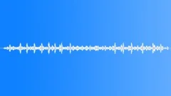 Beaver Vocalizations In Marsh With Spring Peepers Sound Effect