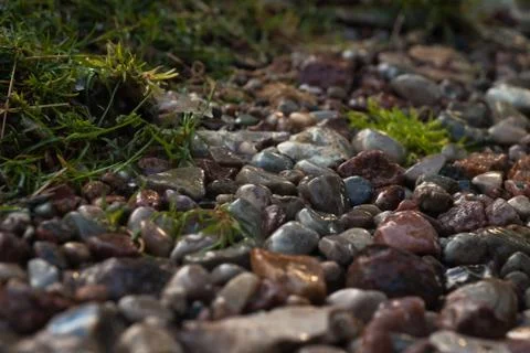 Bebbles Stock Photos