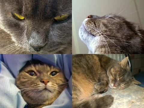 Becalmed. Stock Photos