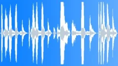 Because I said so! Sound Effect