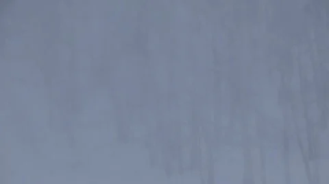 Because of such abundance of snow almost anything around it are not visible Stock Footage 12337421