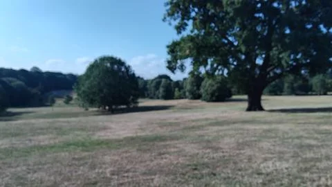 Beckenham Park 写真素材