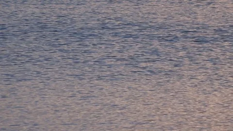 Beckground water Stock Footage 91892542