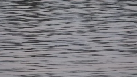 Beckground water Stock Footage 91892792