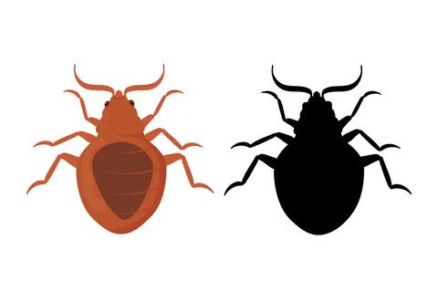 Bed Bug and Silhouette of Bedbug. Stock Illustration