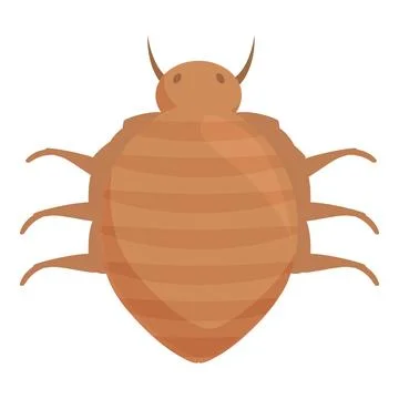 Bed bug crawling, showing its anatomy Stock Illustration