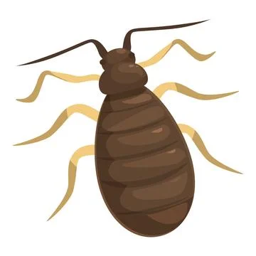 Bed bug crawling, showing its antennae and legs Stock Illustration