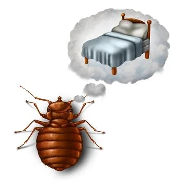 Bed Bug Dreaming Иллюстрация