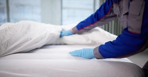 Bed Bug Exterminator Inspects For Pests In Dimly Lit Room. Stock Photos