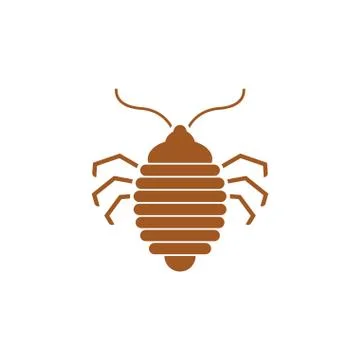 Bed bug icon. bedbug sign. chinch vector illustration Stock Illustration