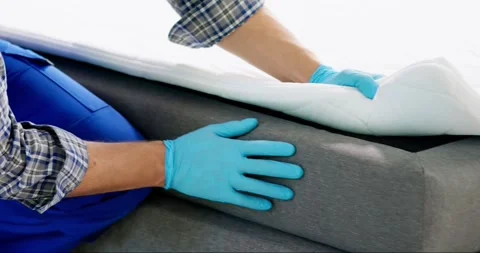 Bed Bug Infestation And Treatment Service Stock Footage 241967152