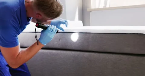 Bed Bug Infestation And Treatment Service Stock Footage 248105639