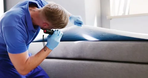 Bed Bug Infestation And Treatment Service Stock Footage 248712579