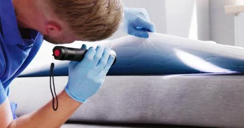 Bed Bug Infestation And Treatment Service Stock Photos