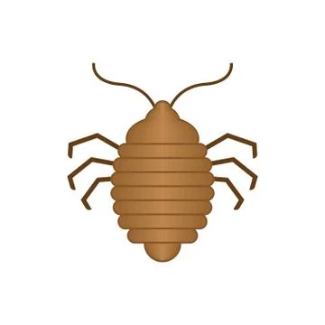 Bed bug isolated. bedbug. chinch vector illustration Stock Illustration