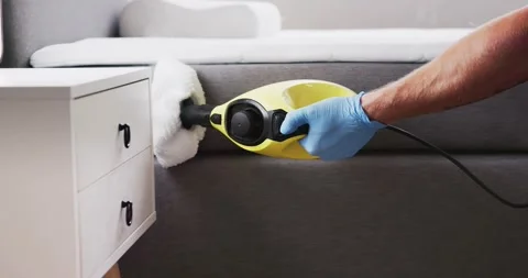 Bed Bug Pest Control Cleaning Stock Footage 246570410