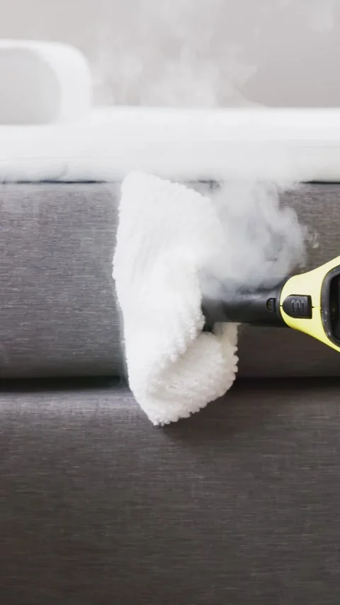 Bed Bug Pest Control Cleaning Stock Footage 246571168