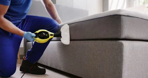 Bed Bug Pest Control Cleaning Stock Footage 246833319