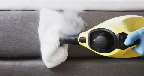 Bed Bug Pest Control Cleaning Stock Footage 246834101