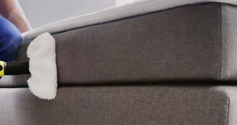 Bed Bug Pest Control Cleaning Stock Footage 248107632