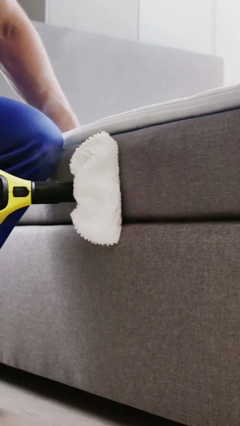 Bed Bug Pest Control Cleaning Stock Footage 248108452