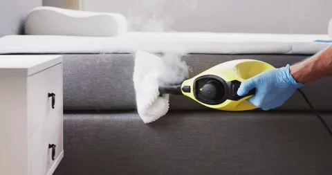 Bed Bug Pest Control Cleaning Stock Footage 248712531