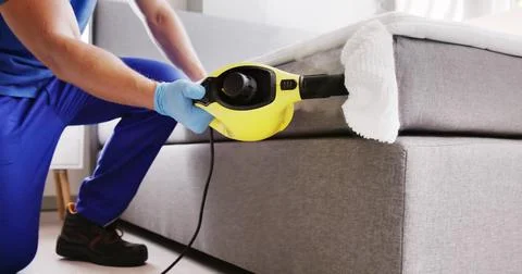 Bed Bug Pest Control Cleaning Stock Photos