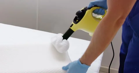 Bed Bug Pillow Pest Control Cleaning Stock Footage 246571056