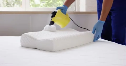 Bed Bug Pillow Pest Control Cleaning Stock Footage 246833314