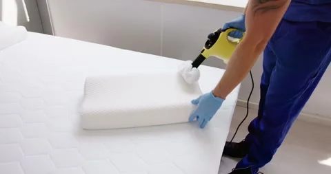 Bed Bug Pillow Pest Control Cleaning Stock Footage 248105559