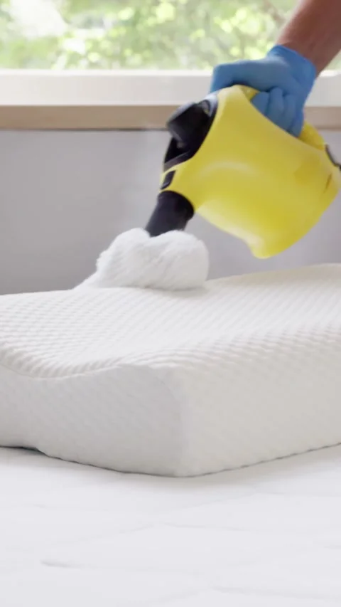 Bed Bug Pillow Pest Control Cleaning Stock Footage 248108362