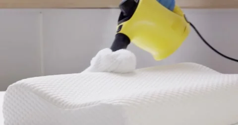 Bed Bug Pillow Pest Control Cleaning Stock Footage 248714562