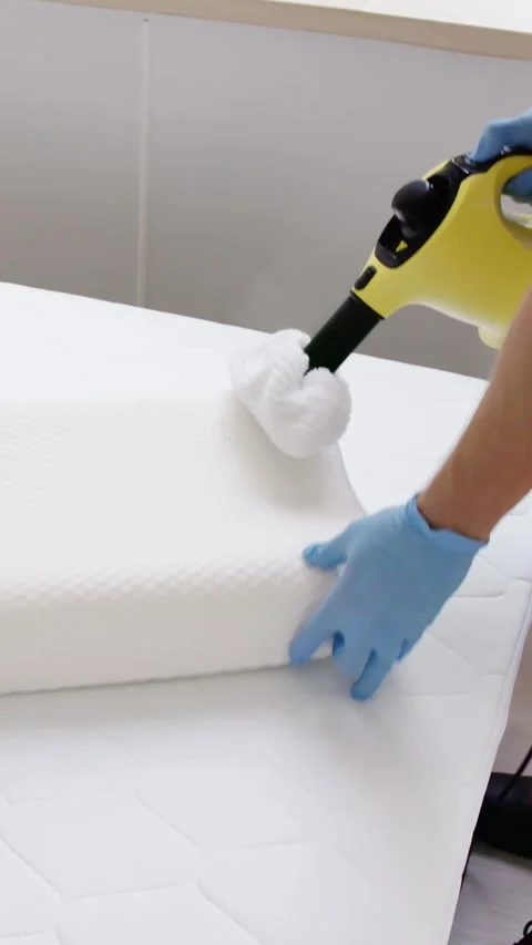 Bed Bug Pillow Pest Control Cleaning Stock Footage 248715289