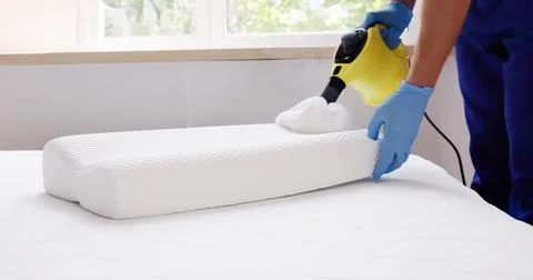 Bed Bug Pillow Pest Control Cleaning Stock Photos