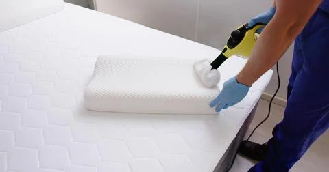 Bed Bug Pillow Pest Control Cleaning Stock Photos