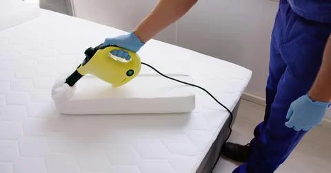 Bed Bug Pillow Pest Control Cleaning Stock Photos