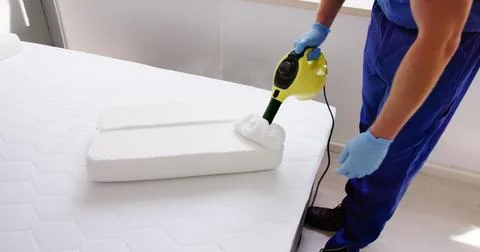 Bed Bug Pillow Pest Control Cleaning Stock Photos