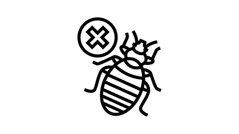 Bed bug treatment line icon animation Stock Footage 224412705