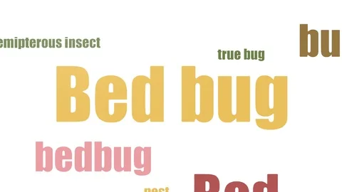 Bed Bug Word Cloud Animated On White Background Stock Footage 103669080